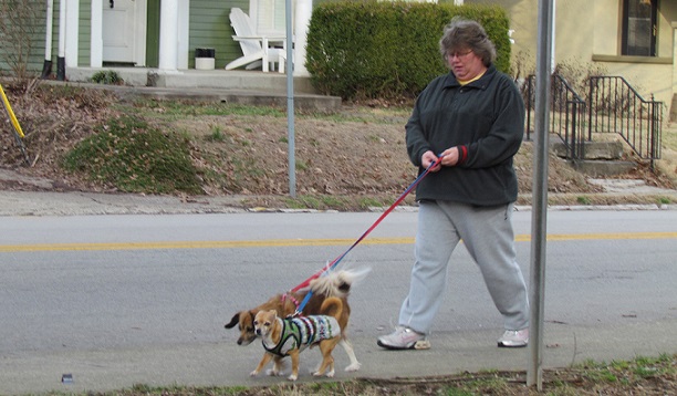Barbara walking two dogs of a regular client around the Capitol area.