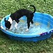 Dylan in his pool