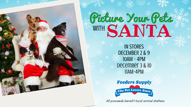 Feeders Supply Picture Your Pets With Santa