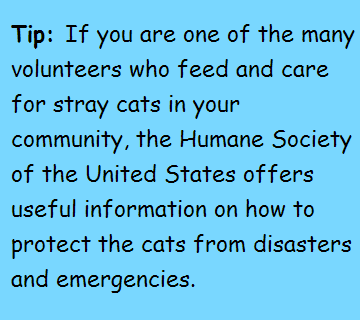 Tip: if you are one of many volunteers who feed and care for stray cats in your community, the Humane Society of the United States offers usefull information on how to protect the cats from disasters and emergencies.