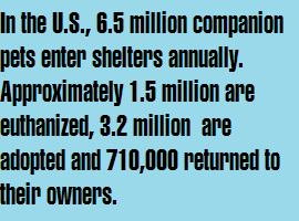 In the U.S., 6.5 million animals enter shelters annually
